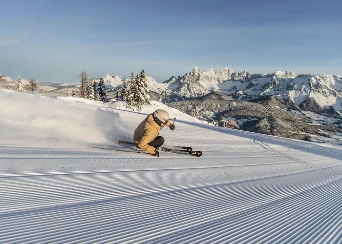 赫尔曼咖啡厅酒店