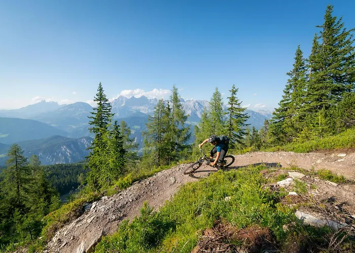 赫尔曼咖啡厅酒店 酒店